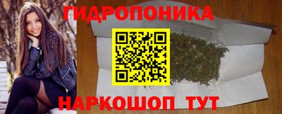 гашик Пыть-Ях