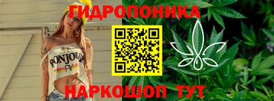 бошки Пугачёв