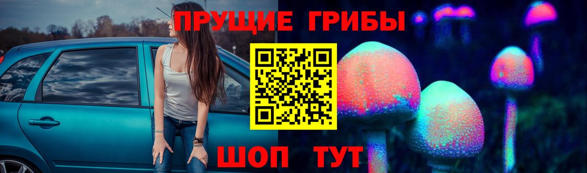 Псилоцибиновые грибы GOLDEN TEACHER  Вход с VPN  Реж 